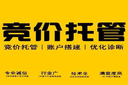 企业在SEM代运营托管公司的帮助下实现品牌升级